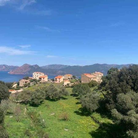 Appartement De Standing Piana Piana  Εξωτερικό φωτογραφία